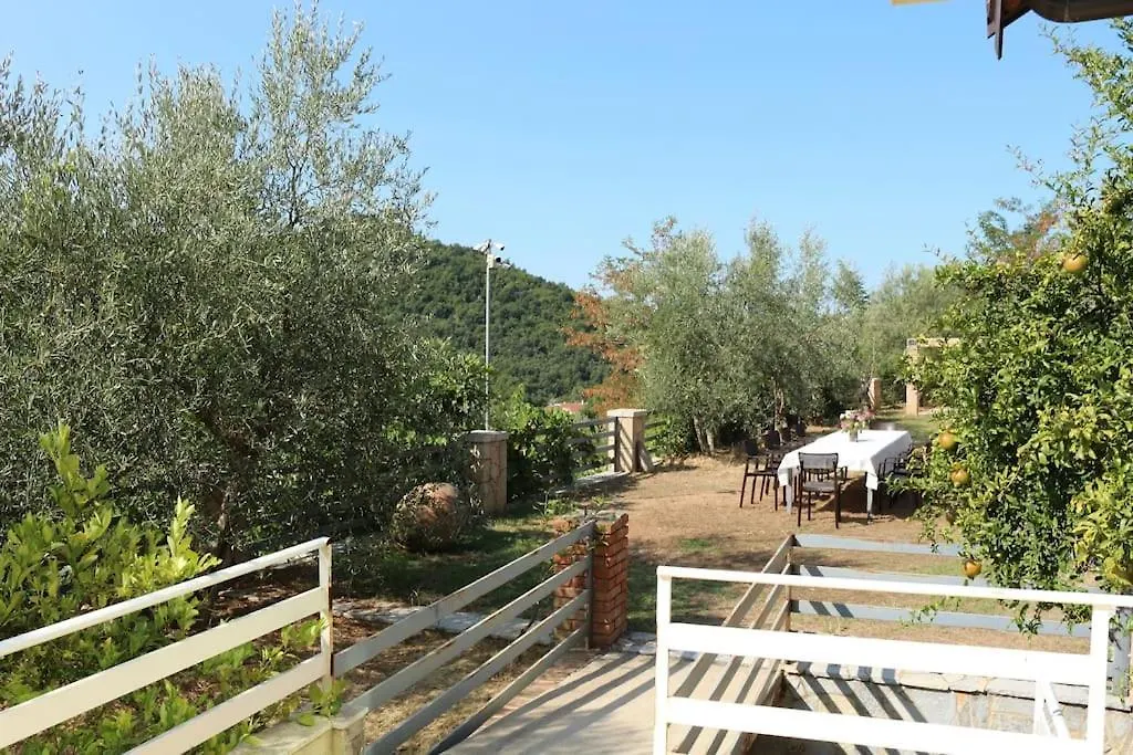 Private Hillside Villa Near Teg Full Privacy Tirana Albania