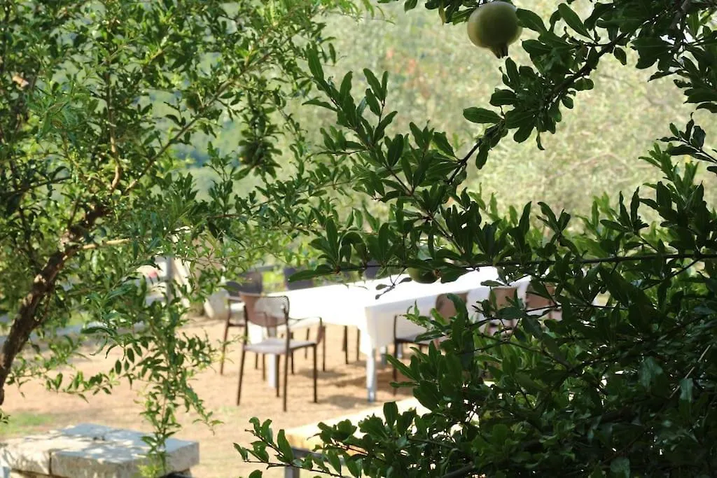 Private Hillside Villa Near Teg Full Privacy Tirana Albania